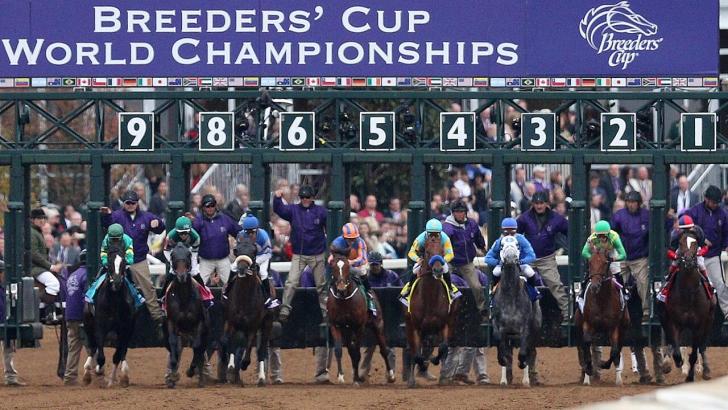 Horses breaking from the stalls